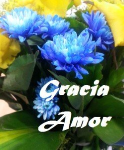 Gracia Amor of diarynigracia