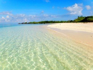 Apo Reef in Sablayan, Mindoro Occidental. (Source:travelinglight)