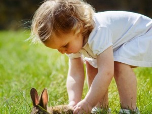 Radstadt, Salzburg. A child playing with a rabbit in a place where Au Pairs are commonly seen vacationing with their Host Families. 
